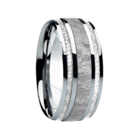 9 mm Meteorite in Titanium Ring "Tucson"